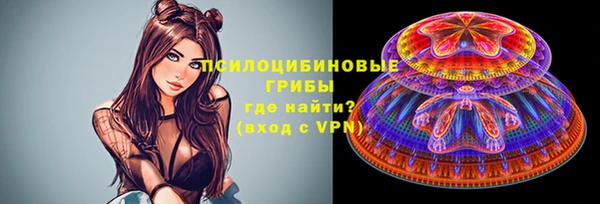 Альфа ПВП Пролетарск