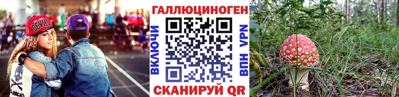 Псилоцибиновые грибы Cubensis ОМГ ОМГ ONION Шахунья