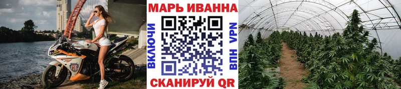 Бошки Шишки Amnesia  Шахунья 